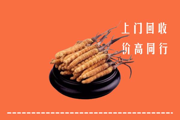 高价求购：加格达奇区回收散虫草