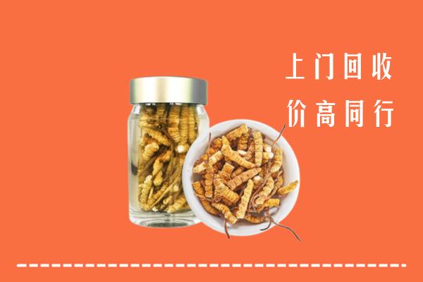 加格达奇区回收冬虫夏草